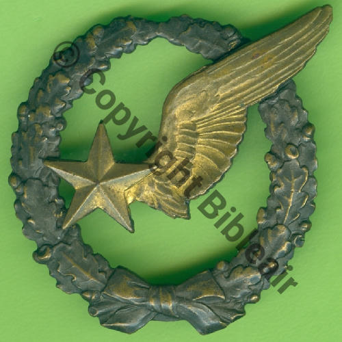 BREVET OBSERVATEUR AVION WW1 B5267 Modele 1916 SM 2Anneaux Dos lisse Src.Y.GENTY 178Eur08.24 